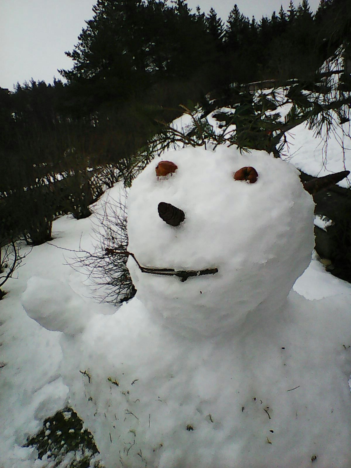 schneemann