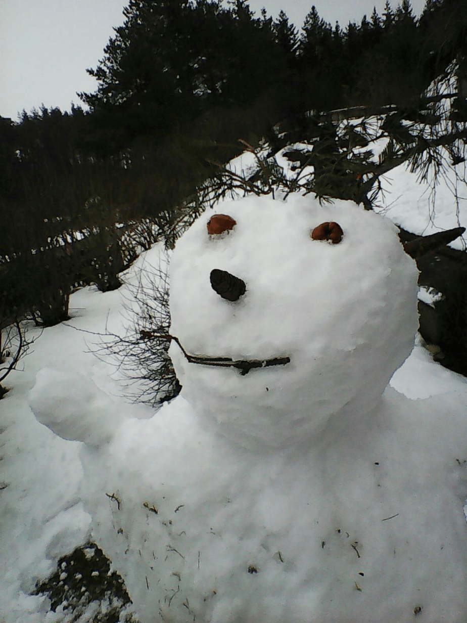 schneemann
